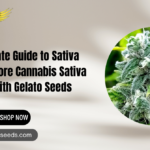 cannabis sativa seeds