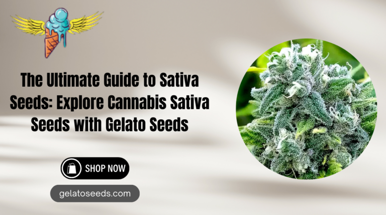 cannabis sativa seeds