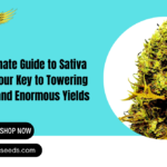 cannabis sativa seeds