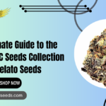 highest THC seeds