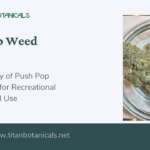 Push Pop Weed Strain