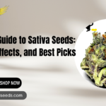 sativa seeds