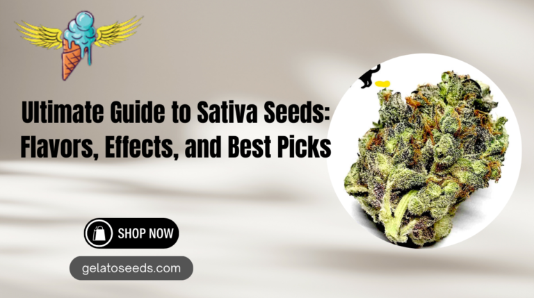 sativa seeds