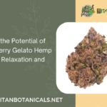 Unlocking the Potential of Lemon Cherry Gelato Hemp Flower for Relaxation and Focus