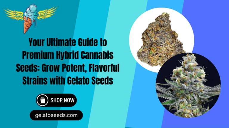 hybrid cannabis seeds