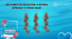 CBD Flower for Relaxation