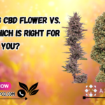 CBD Flower vs. CBD Oil