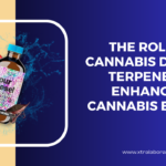 cannabis terpenes for sale