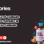 cannabis terpenes for sale