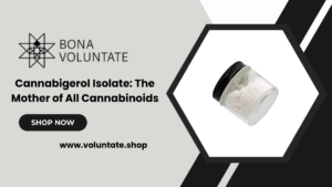 Cannabigerol Isolate Explained | Benefits, Uses, and Where to Buy