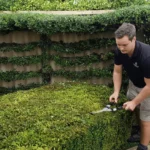 Can I Book Regular Hedge Maintenance in Luton?
