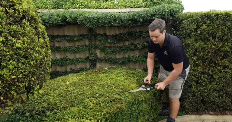 Can I Book Regular Hedge Maintenance in Luton?