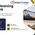 Gutter Cleaning Greenvale