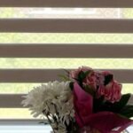 Zebra Blinds