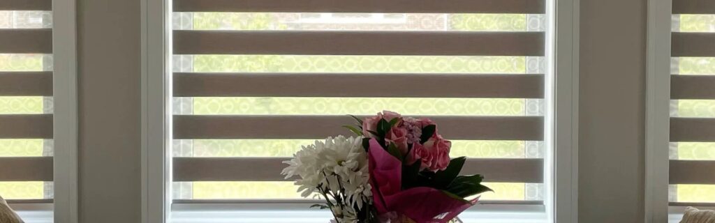 Zebra Blinds