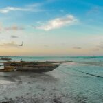 golden triangle with goa tour