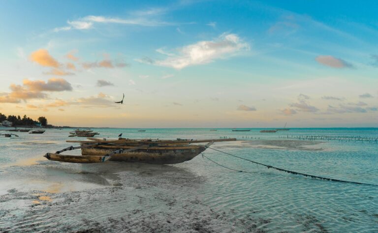 golden triangle with goa tour