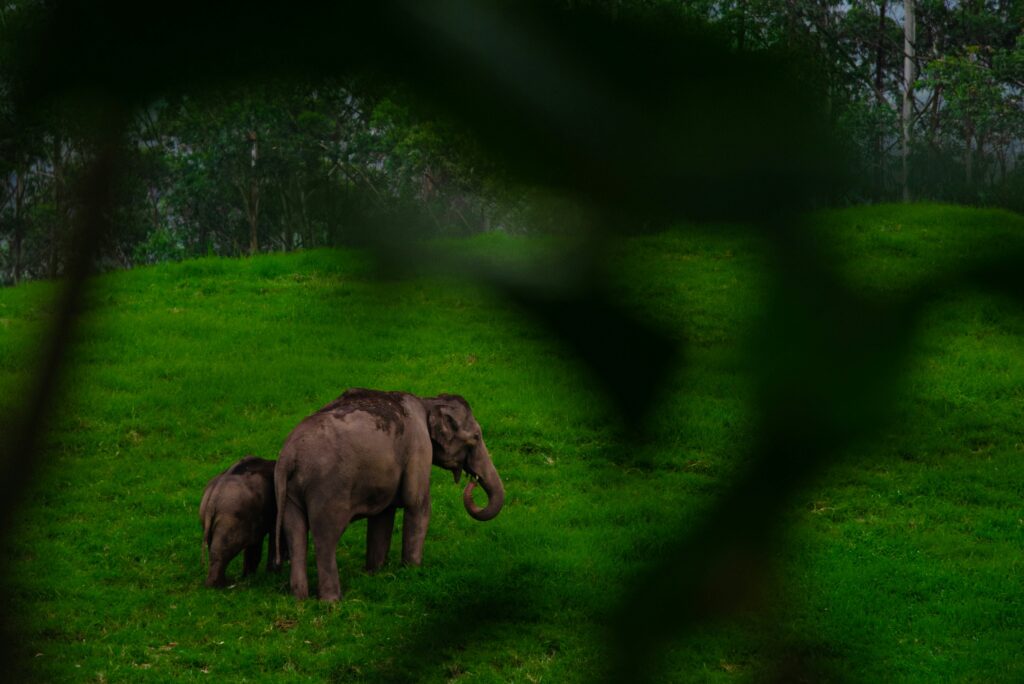 rishabh-dharmani-wVkm2peLKY0-unsplash