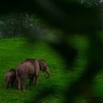 rishabh-dharmani-wVkm2peLKY0-unsplash