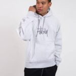 stussy hoodie