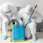 pest control