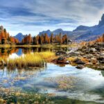 golden triangle tour with tiger safari