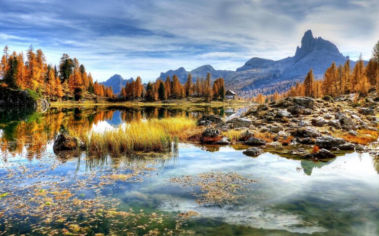 golden triangle tour with tiger safari