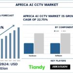 Africa AI CCTV Market