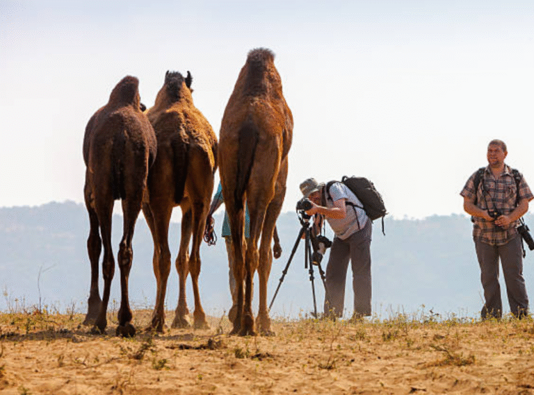 Behind The Scenes Of Wild Camel Documentaries