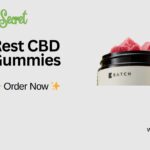 Black Brown Modern Creative Portfolio Presentation (30)