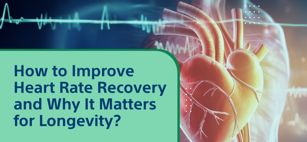 How to Improve Heart Rate Recovery and Why It Matters for Longevity