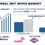 Wet Wipes Market