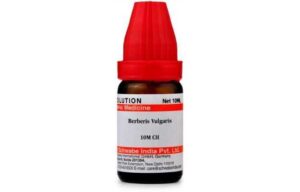 Berberis Vulgaris Q Uses in Hindi