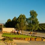 Exploring McLaren Vale on a Wine Tour in Adelaide