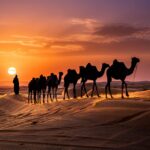 9InfhNl3Taqo-qV6mQgbyA