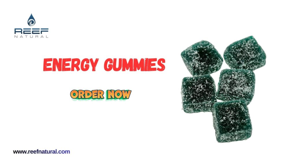 Black Brown Modern Creative Portfolio Presentation - 2025-12-22T065346.600