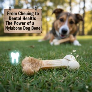 nylabone dog bone