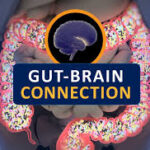 Gut Brain Connection