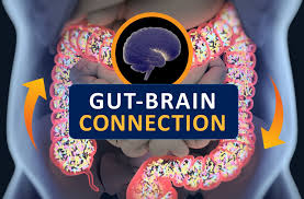 Gut Brain Connection
