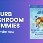 Screenshot 2025-12-02 041442