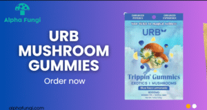 Screenshot 2025-12-02 041442