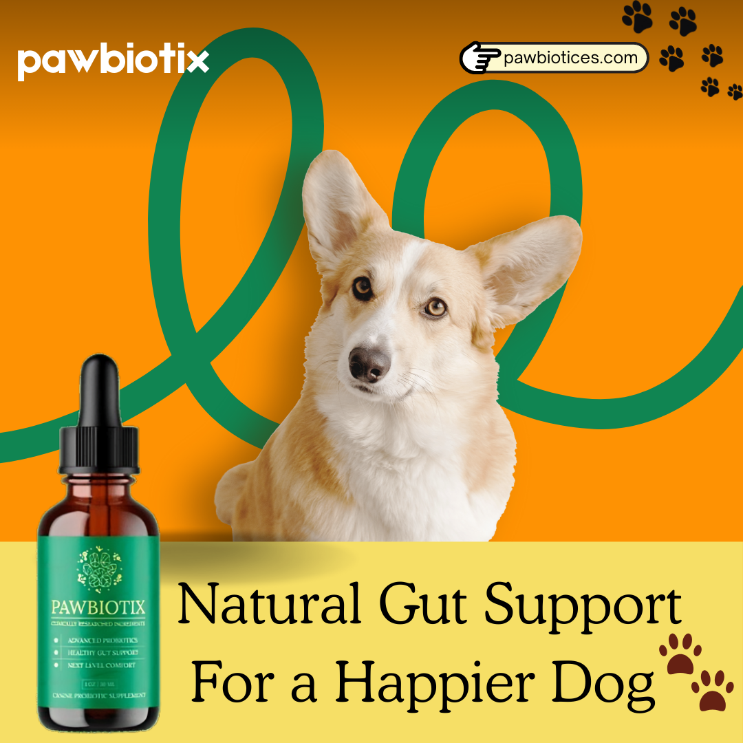 Pawbiotix Reviews: Best Dog Probiotics Official Website