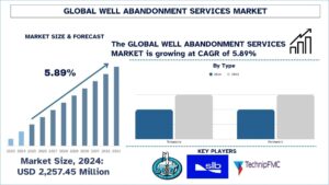 Well Abandonment Services Market