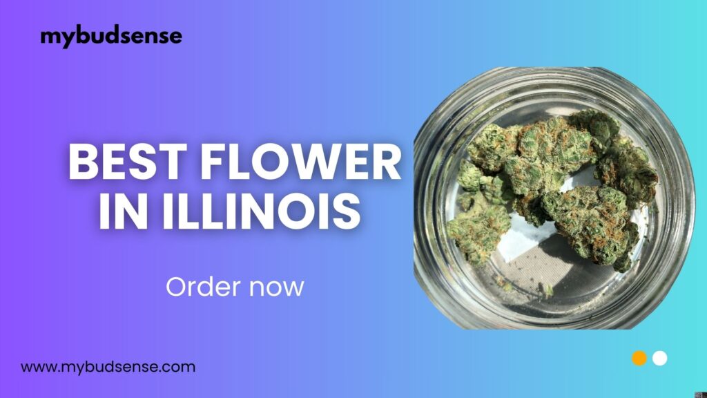 Yellow Modern Creative Portfolio Presentation (6)