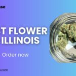 Yellow Modern Creative Portfolio Presentation (6)