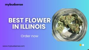 Yellow Modern Creative Portfolio Presentation (6)