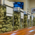 dispensary in lowell ma