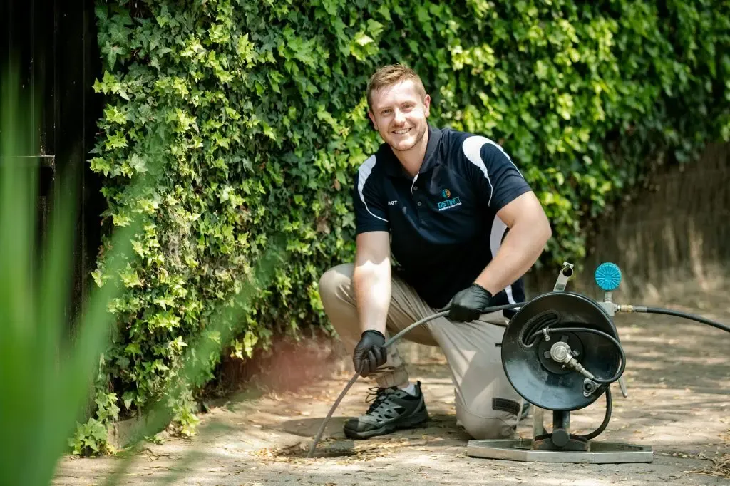 imgi_80_Distinct_2020-3489