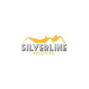 silverlineroofing.ca