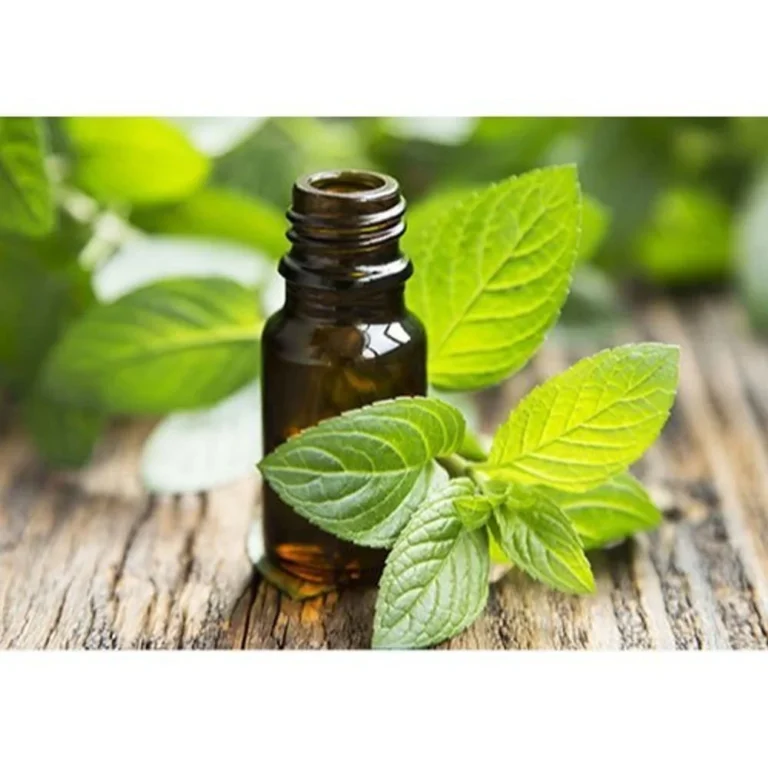 Spearmint Oil Manufacturers producing pure and natural spearmint essential oil